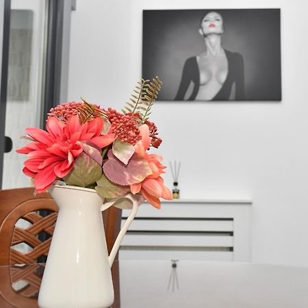 Apartament Luxury - Promenada Mall كرايوفا المظهر الخارجي الصورة